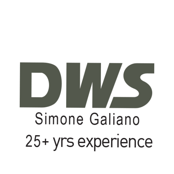 DataWeb Solutions Logo